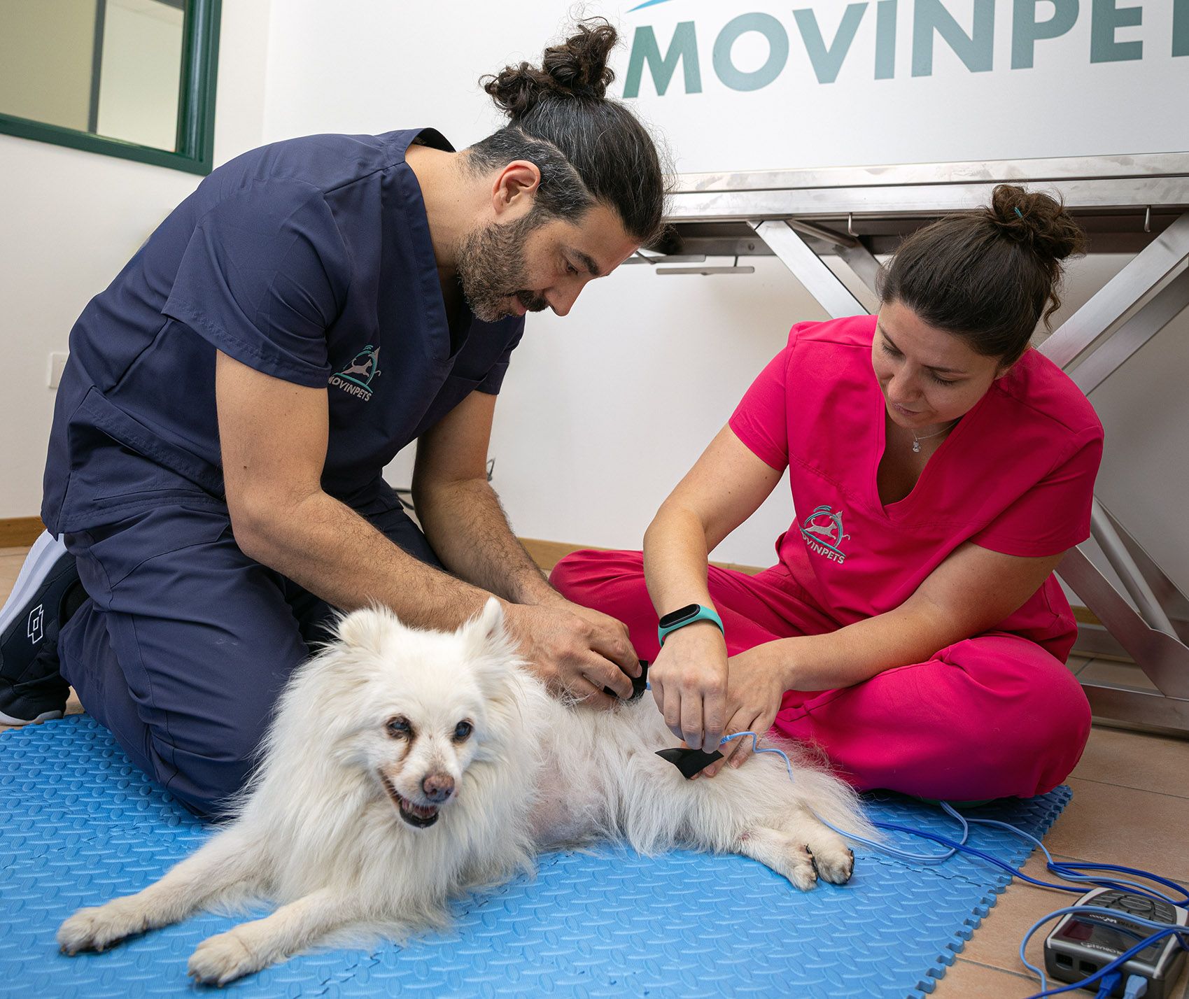 Elettrostimolazione per cani e gatti