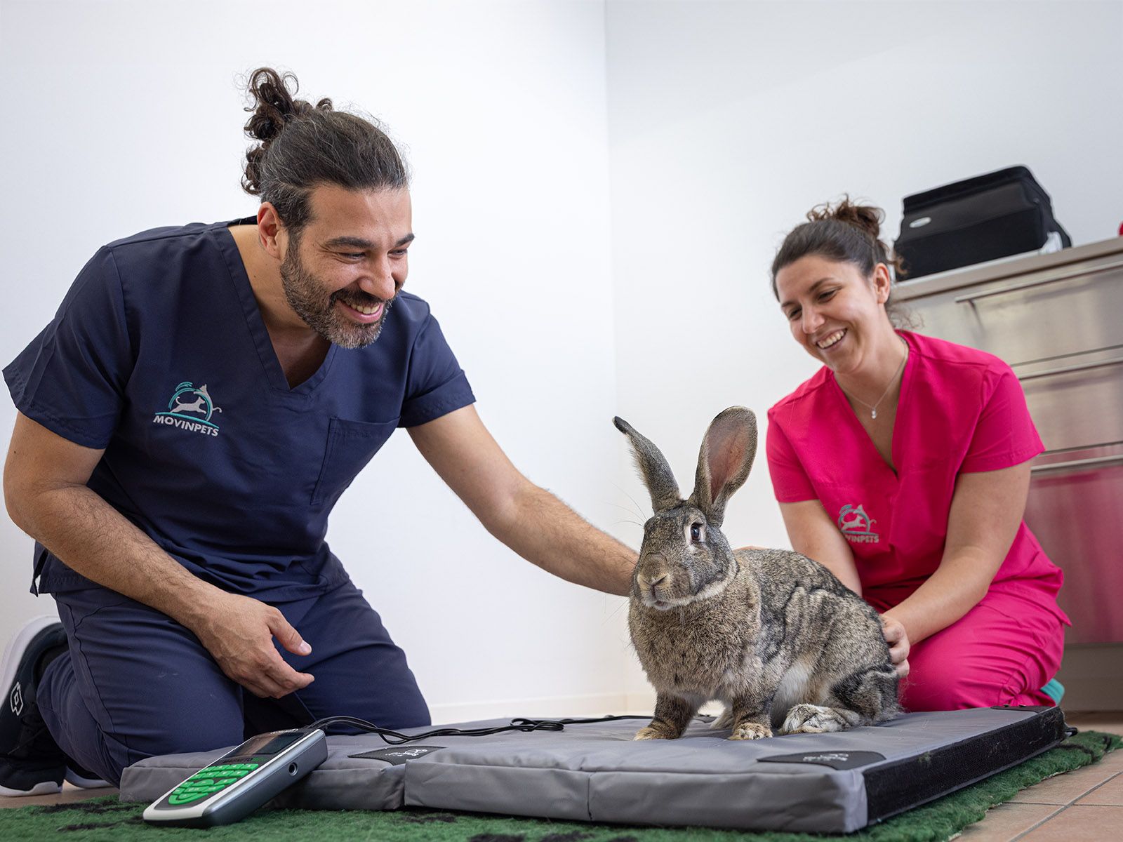 Magnetoterapia per animali